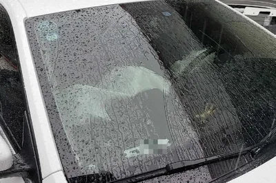 2015 Volkswagen Jetta WVWZZZ16ZFM040319 VIN:WVWZZZ16ZFM040319