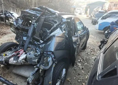 2020 Hyundai Kona KMHK4815GLU450978 VIN:KMHK4815GLU450978