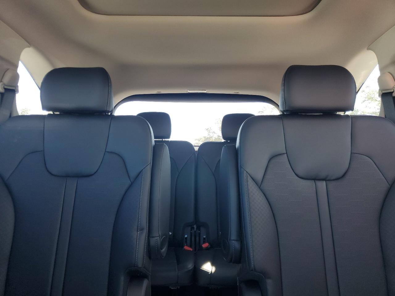 2024 KIA SORENTO SX VIN:5XYRK4JF0RG304254