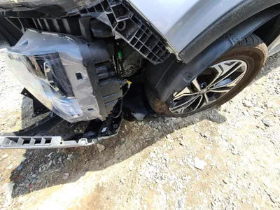 2019 Hyundai Santa FE KMHS381BBKU156411 VIN:KMHS381BBKU156411