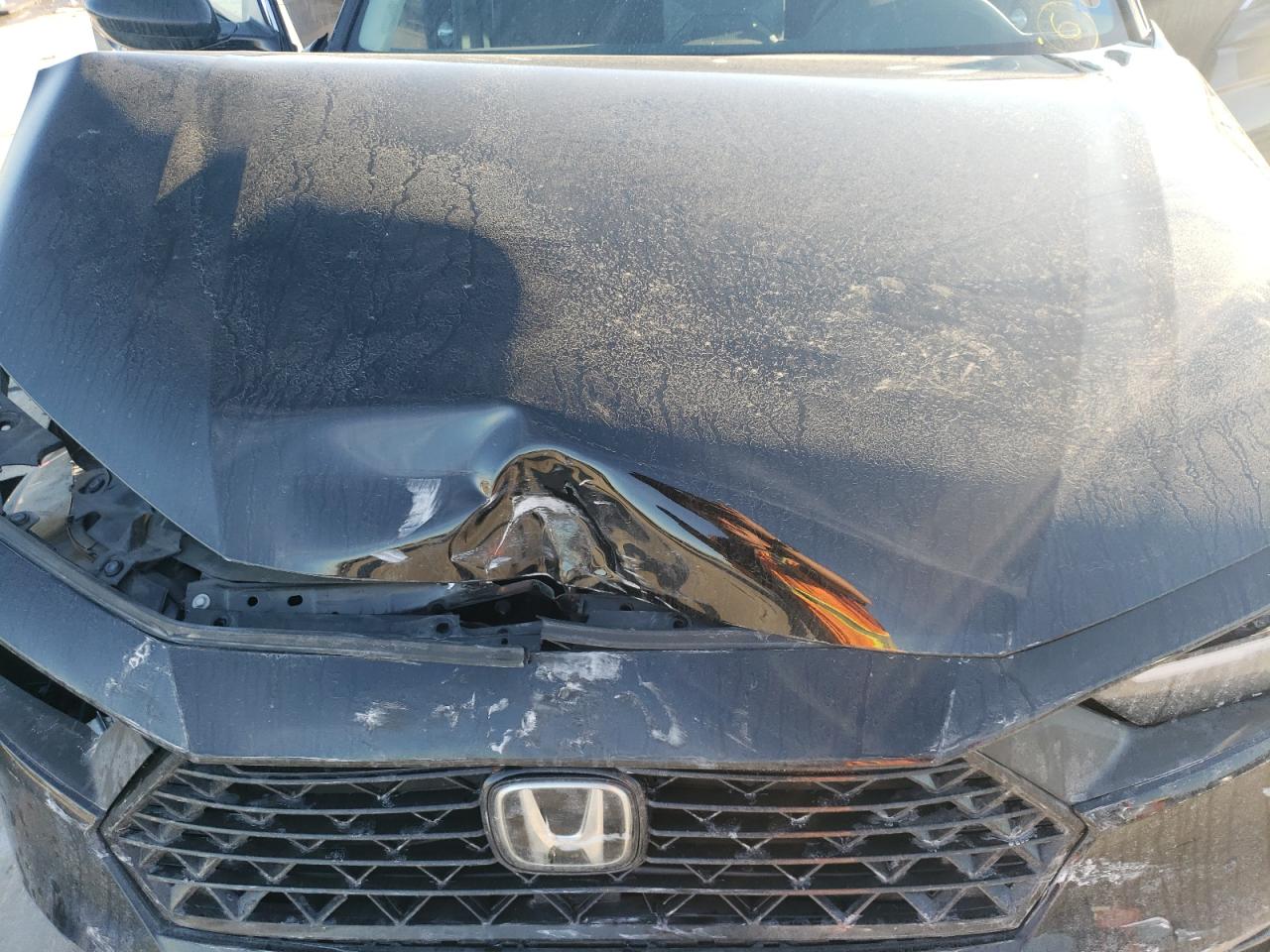 2023 HONDA ACCORD EX VIN:1HGCY1F33PA056484