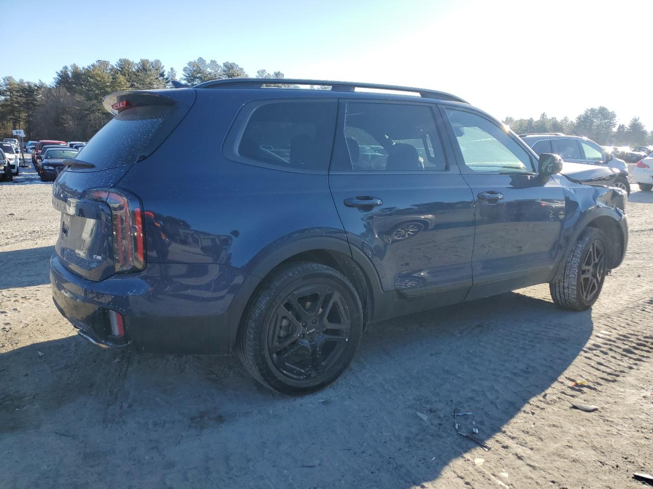 2024 KIA TELLURIDE EX VIN:5XYP3DGC2RG504733