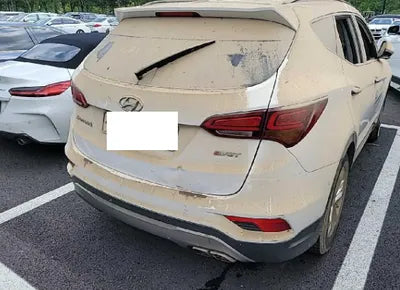 2017 Hyundai Santa FE KMHSW81UBHU723295 VIN:KMHSW81UBHU723295