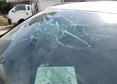 2019 Hyundai Santa FE KMHS281BBKU176591 VIN:KMHS281BBKU176591