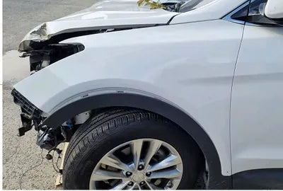 2016 Hyundai Santa FE KMHSW81UBGU655245 VIN:KMHSW81UBGU655245