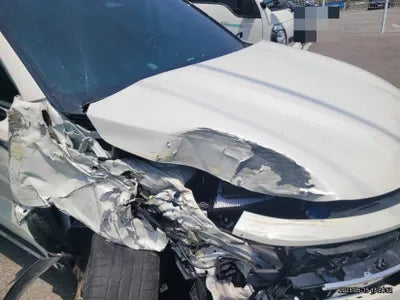 2021 Kia Sorento KNARK81GBMA031286 VIN:KNARK81GBMA031286