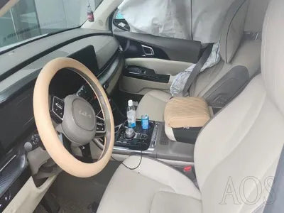 2021 Kia Carnival KNANE81BBNS131870 VIN:KNANE81BBNS131870