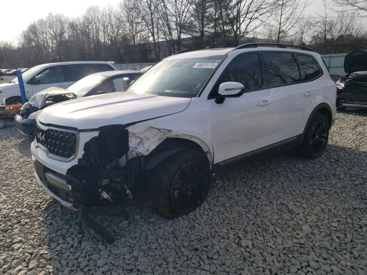 2023 KIA TELLURIDE SX VIN:5XYP5DGC9PG333549