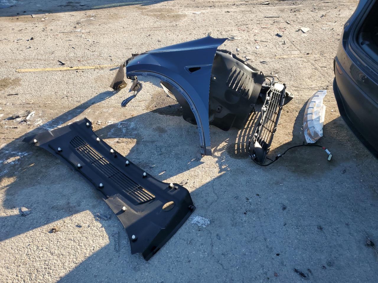 2023 TESLA MODEL Y  VIN:7SAYGDEE3PF796588