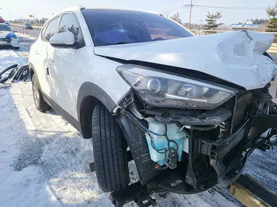 2016 Hyundai Tucson KMHJ3815GGU186319 VIN:KMHJ3815GGU186319