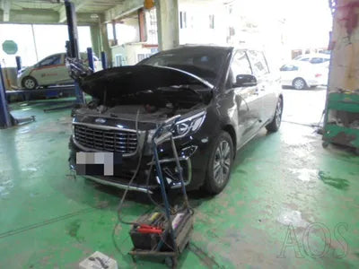 2020 Kia Carnival KNAMB81ABLS651655 VIN:KNAMB81ABLS651655