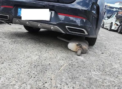 2021 Kia K5 KNAG241ABMA086032 VIN:KNAG241ABMA086032