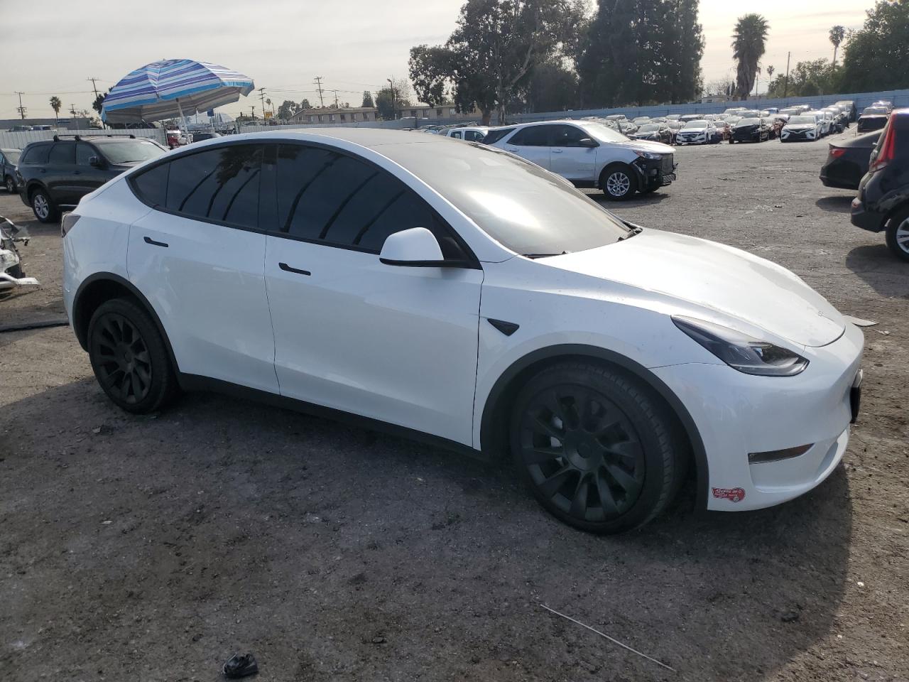 2023 TESLA MODEL Y  VIN:SCA664S50FUX53044