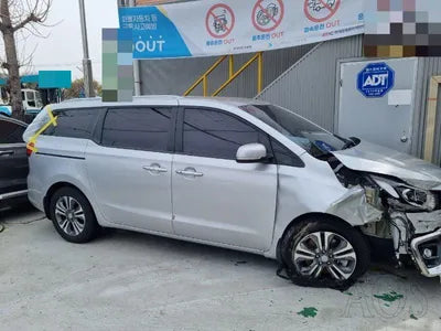 2019 Kia Carnival KNAMB81ABLS621274 VIN:KNAMB81ABLS621274