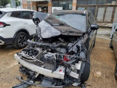 2021 Kia Sorento KNARF81BGMA073589 VIN:KNARF81BGMA073589