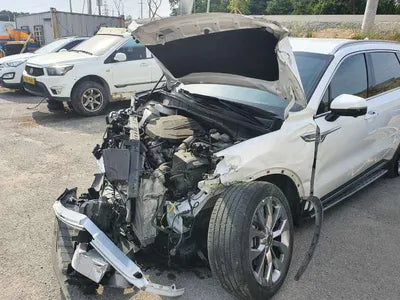 2020 Kia Sorento KNARK81BGMA038540 VIN:KNARK81BGMA038540