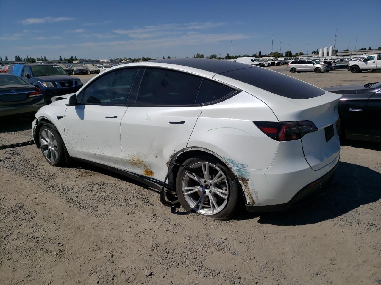 2023 TESLA MODEL Y  VIN:7SAYGDEE9PF620340