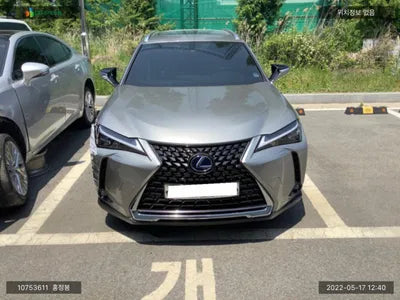2019 Lexus UX 250 JTHU9JBH6K2014202 VIN:JTHU9JBH6K2014202