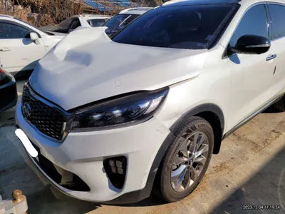 2018 Kia Sorento KNAPH81ABJA407076 VIN:KNAPH81ABJA407076