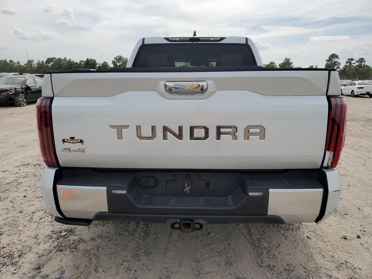 2023 TOYOTA TUNDRA CREWMAX CAPSTONE VIN:5TFVC5DBXPX028945