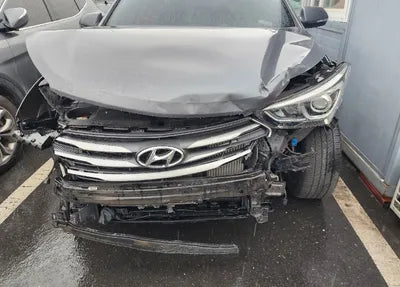 2017 Hyundai Santa FE KMHSW81UBHU758465 VIN:KMHSW81UBHU758465