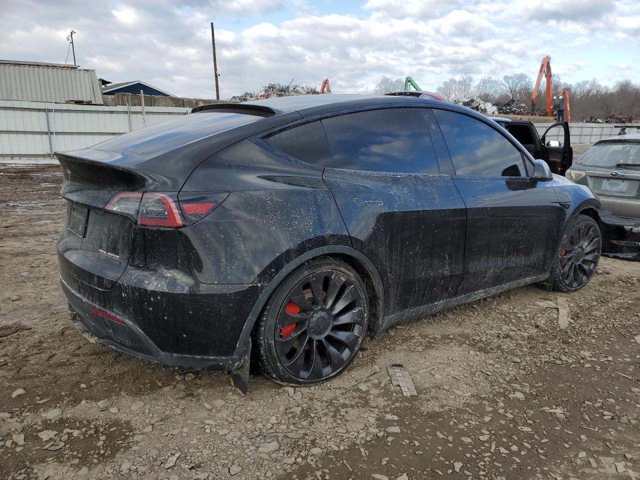 2023 TESLA MODEL Y  VIN:7SAYGDEF4PF834497