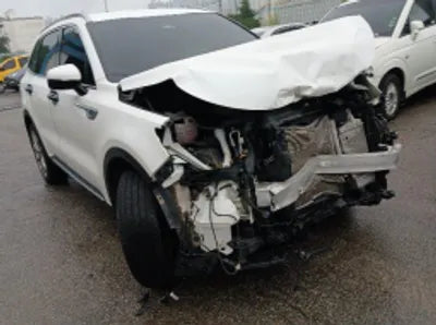 2021 Kia Sorento KNARF81BGMA104673 VIN:KNARF81BGMA104673