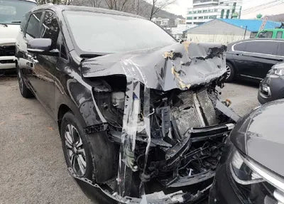 2019 Kia Carnival KNAMB81ABKS486998 VIN:KNAMB81ABKS486998