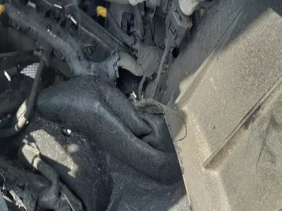 2019 Genesis G80 VIN: