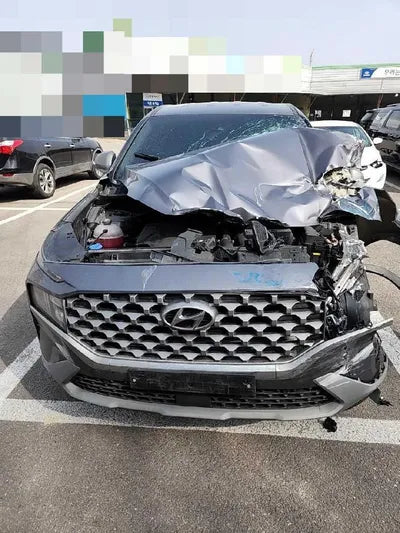 2021 Hyundai Santa FE KMHS281LGMU408378 VIN:KMHS281LGMU408378