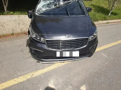 2020 Kia Carnival KNAMC81ABLS664335 VIN:KNAMC81ABLS664335