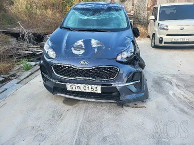 2019 Kia Sportage KNAPM813DKK683695 VIN:KNAPM813DKK683695