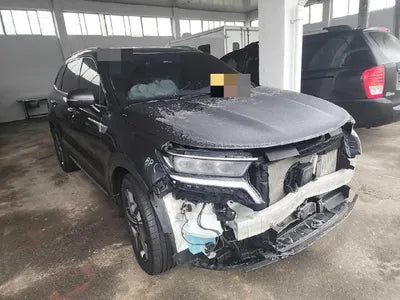 2021 Kia Sorento KNARL81GBMA050631 VIN:KNARL81GBMA050631