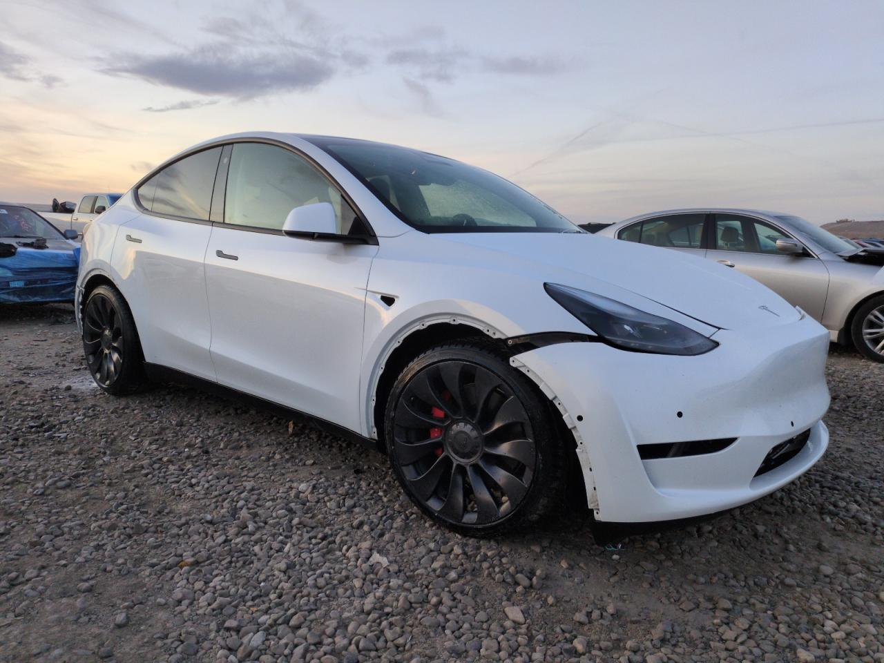 2022 TESLA MODEL Y  VIN:7SAYGDEF3NF460378
