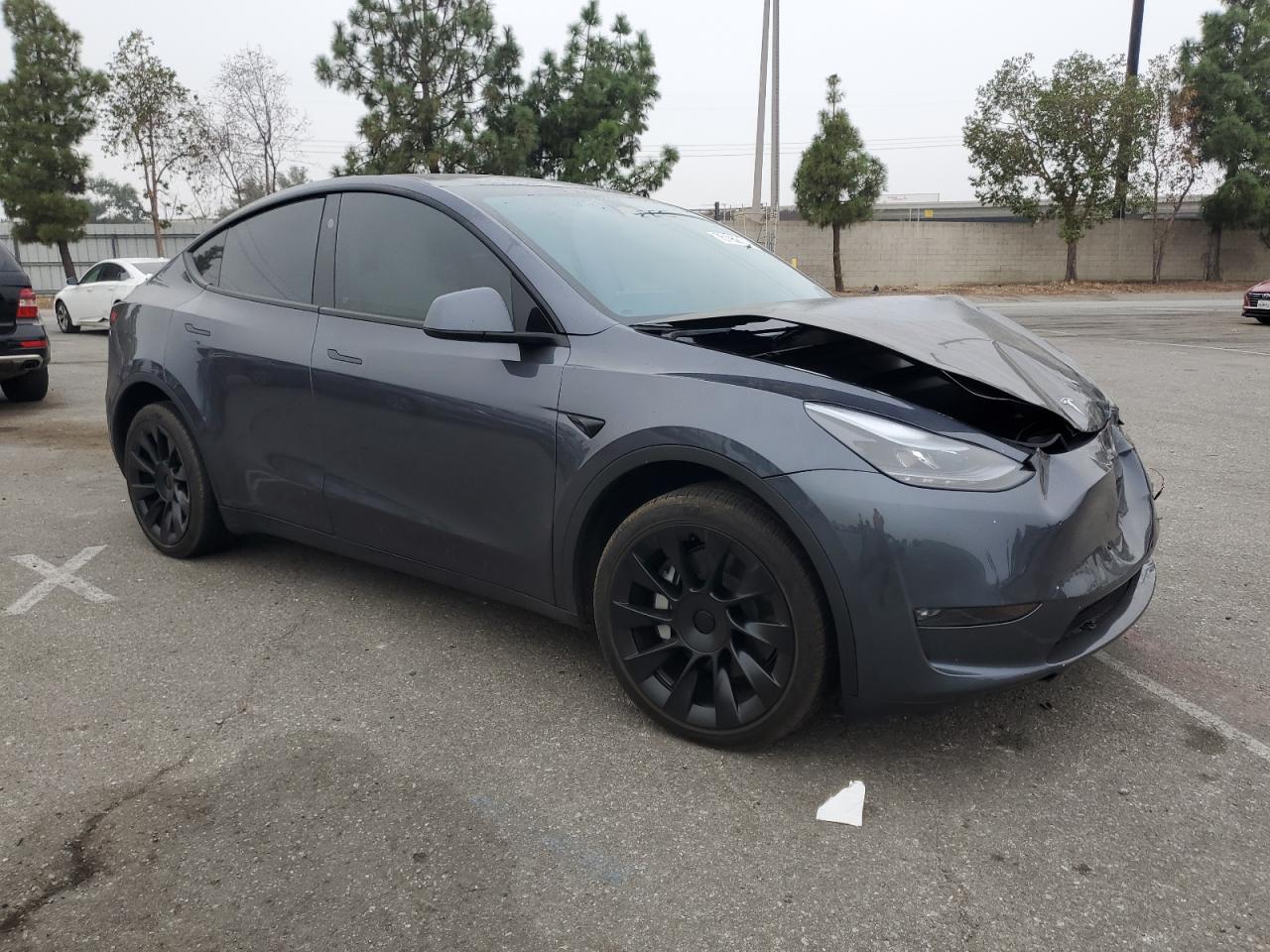 2023 TESLA MODEL Y  VIN:7SAYGDEE0PF863017