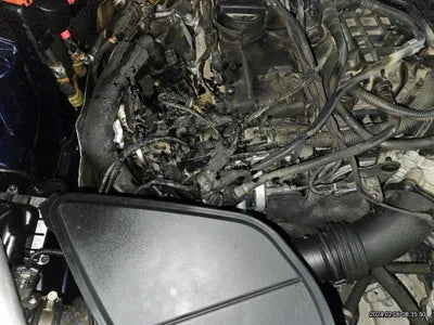 2019 BMW 530 WBAJD9102KB278446 VIN:WBAJD9102KB278446