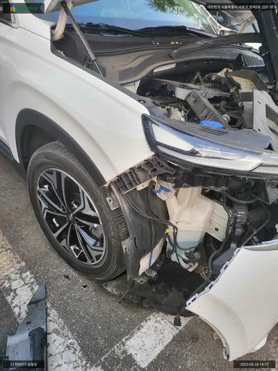 2019 Hyundai Santa FE KMHS381ABLU193107 VIN:KMHS381ABLU193107