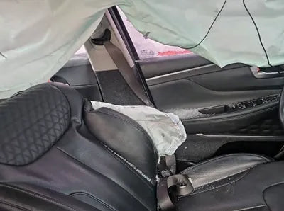 2020 Hyundai Santa FE KMHS381BBLU301410 VIN:KMHS381BBLU301410