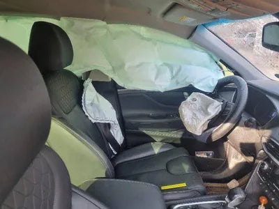 2019 Hyundai Santa FE KMHS281BBLU214044 VIN:KMHS281BBLU214044