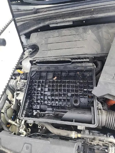 2019 Hyundai Ioniq VIN: