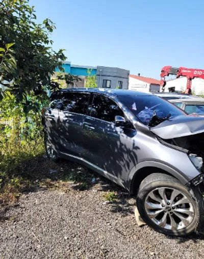 2018 Kia Sorento KNAPG81ABJA449790 VIN:KNAPG81ABJA449790