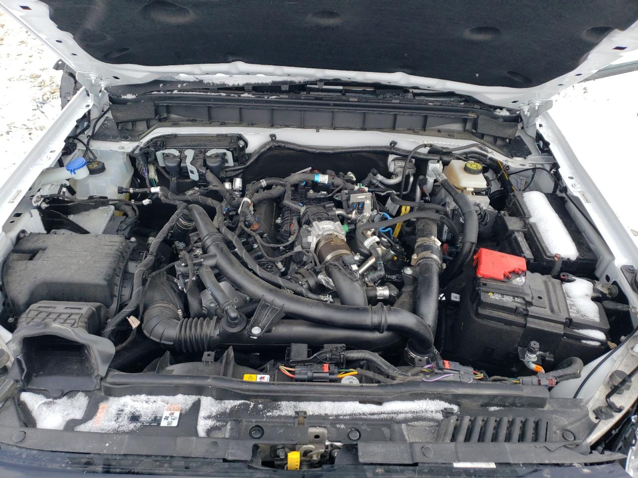 2024 FORD BRONCO OUTER BANKS VIN:1FMEE8BP1RLA50798