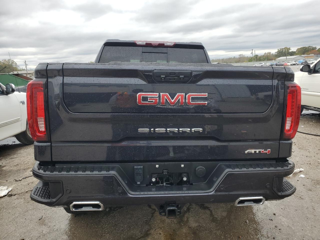 2023 GMC SIERRA K1500 AT4 VIN:1GTUUEE87PZ300853
