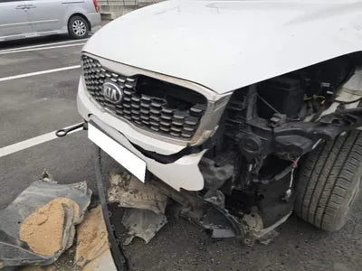 2019 Kia Sorento KNAPG81BDKA540068 VIN:KNAPG81BDKA540068
