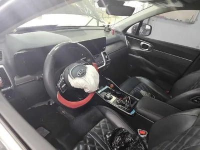 2021 Kia Sorento KNARK81BGMA092596 VIN:KNARK81BGMA092596
