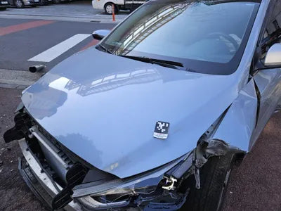 2017 Hyundai Ioniq KMHC051HFJU020754 VIN:KMHC051HFJU020754