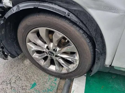2019 Kia Sorento KNAPS81BDLA636099 VIN:KNAPS81BDLA636099