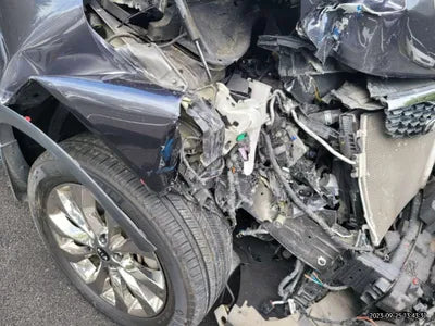 2019 Kia Sorento KNAPS81ABKA514794 VIN:KNAPS81ABKA514794