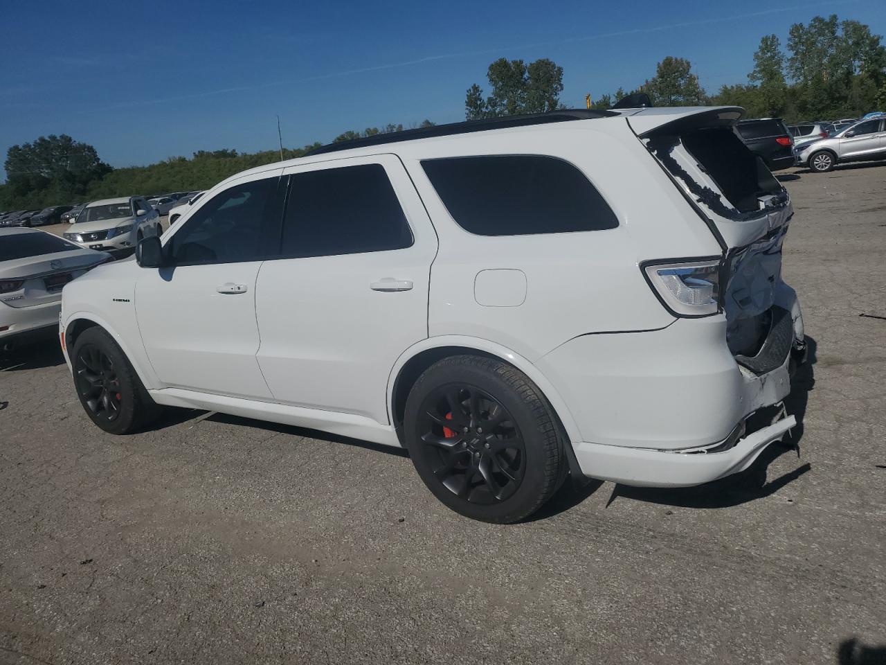 2023 DODGE DURANGO R/T VIN:1C4SDJCT9PC695290