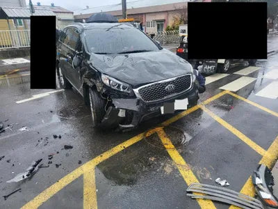 2017 Kia Sorento KNAPS81ABHA319110 VIN:KNAPS81ABHA319110